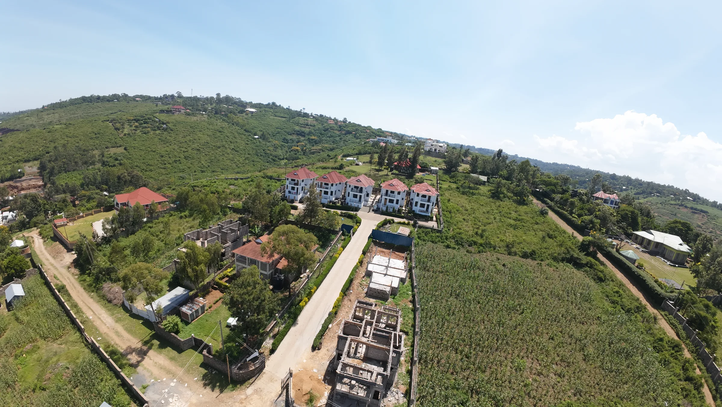 Luxury family estate